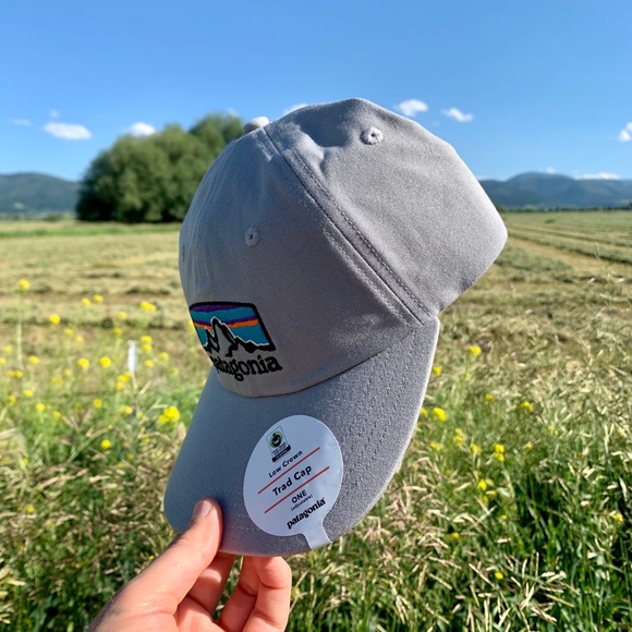 NWT Patagonia Logo Hat - Gray - Picture 2 of 4